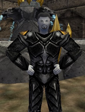 Guard (Karlun NPC) Live.jpg