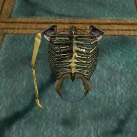 Skeletal Torso with an Arm Live.jpg