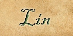 Lin (Town Network Sign) Live.jpg