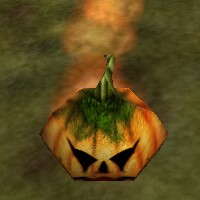 Sprouting Pumpkin Vine Live.jpg