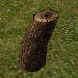 Hollowed-Out Tree Trunk Live.jpg