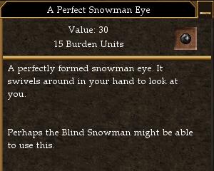 A Perfect Snowman Eye.jpg