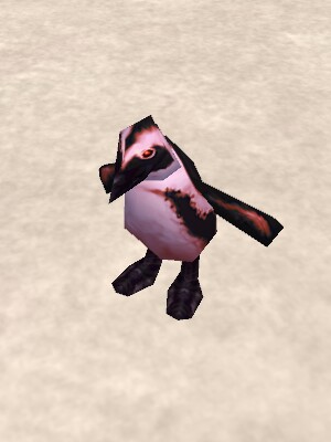 Rebellious Penguin Live.jpg