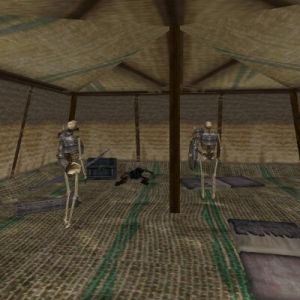 Skeleton Tent Live 3.jpg