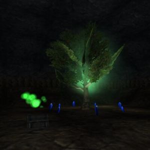 Underground Forest Live 5.jpg
