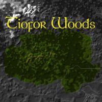 Tiofor Woods