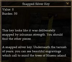 Snapped Silver Key.jpg