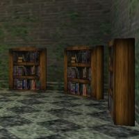 Bookcases in sidewings