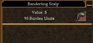 Banderling Scalp.jpg