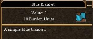 Blue Blanket.jpg