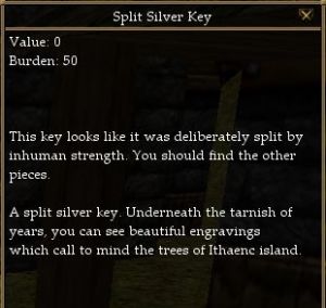 Split Silver Key.jpg