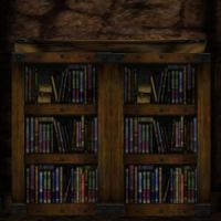 Bookcase at the beginning of the dungeon