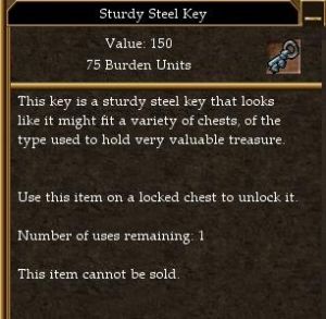 Sturdy Steel Key.jpg