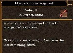 Misshapen Bone Fragment.jpg