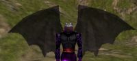 Shadow Wings Breastplate