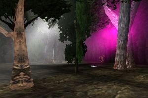 UndergroundForest1.jpg